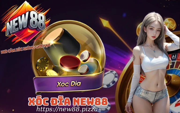 Xóc Đĩa New88 – Sân chơi tựa game xóc đĩa siêu ngon ăn